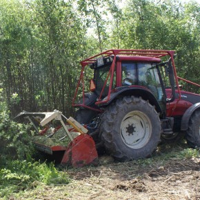 В первом полугодии 2012 года "Владимирэнерго" расчистил свыше пятисот гектаров трасс ЛЭП